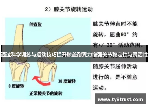 通过科学训练与运动技巧提升膝盖耐受力增强关节稳定性与灵活性